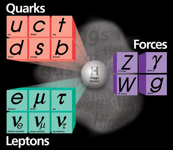 The standard model of particle physics illustrated, consisting of six quarks, six leptons, four gauge bosons (force carriers) and the Higgs boson